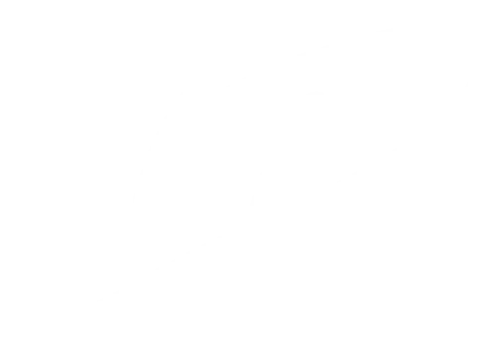 Payload Logo